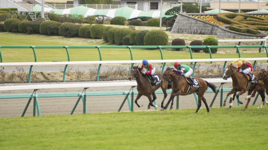競馬のレース中