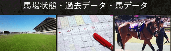 馬場状態・過去データ・馬データ