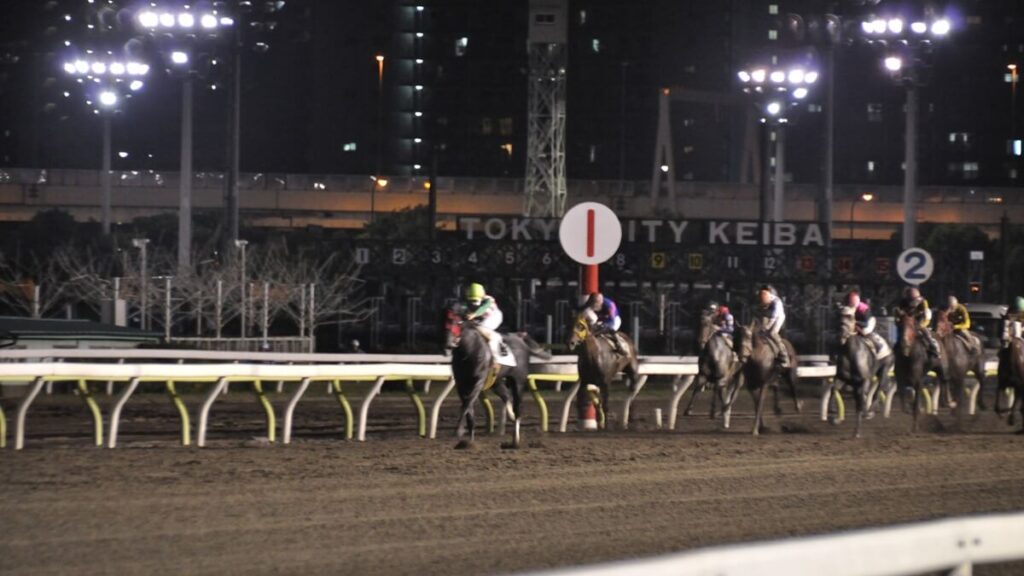 ダート競馬