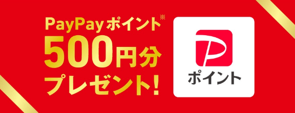 PayPayポイント（500円分）