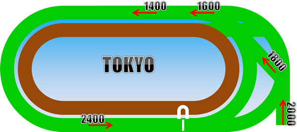 東京競馬場・芝コース
