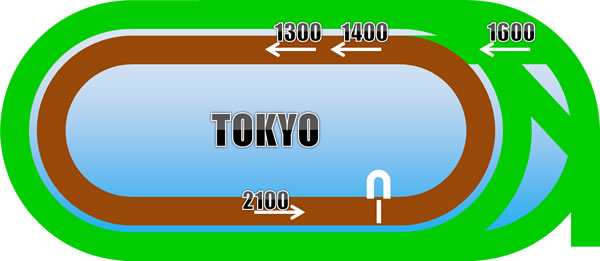 東京競馬場・ダートコース