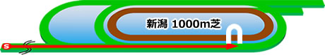 新潟芝1000m直