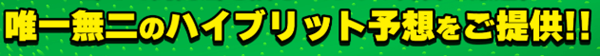 唯一無二のハイブリッド予想を提供!