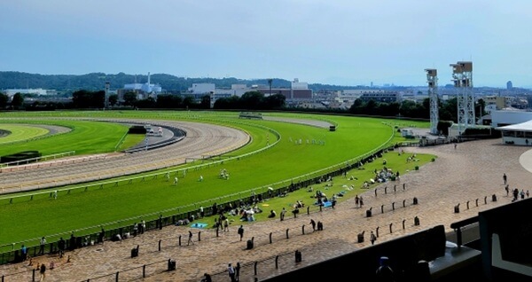 初夏の競馬場