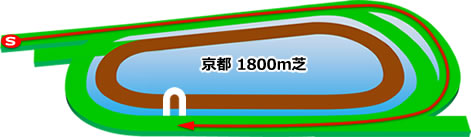 京都1800m芝