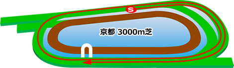 京都3000m芝