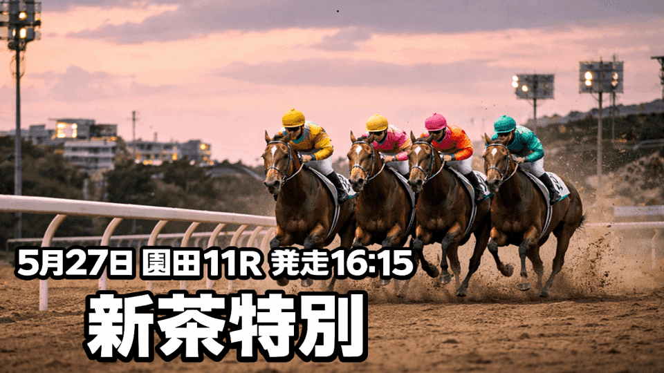 新茶特別2026