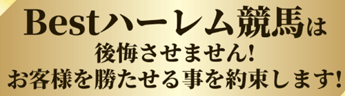 Bestハーレム競馬は後悔させません！
